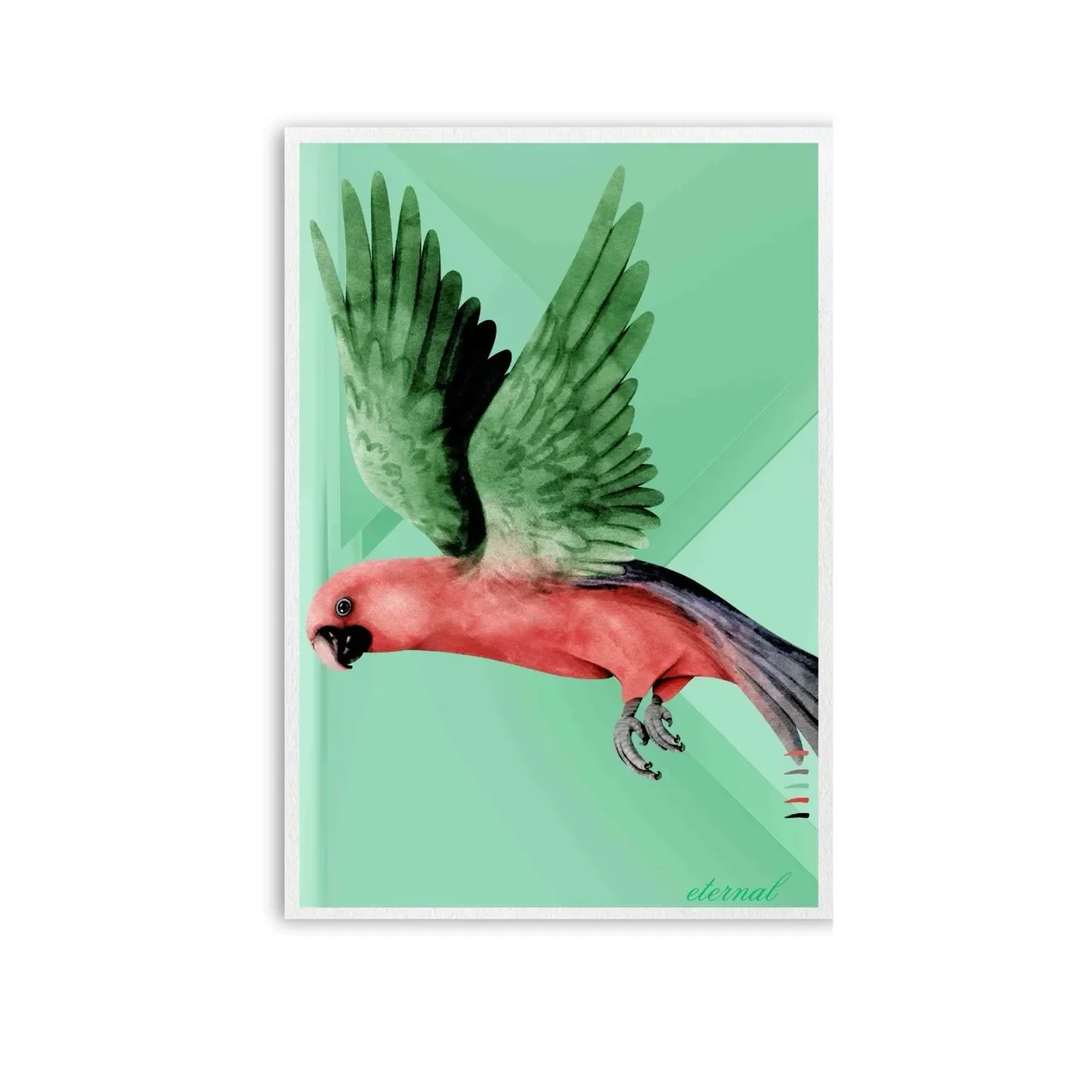 Unframed parrot print. A10036 Large_converted.webp