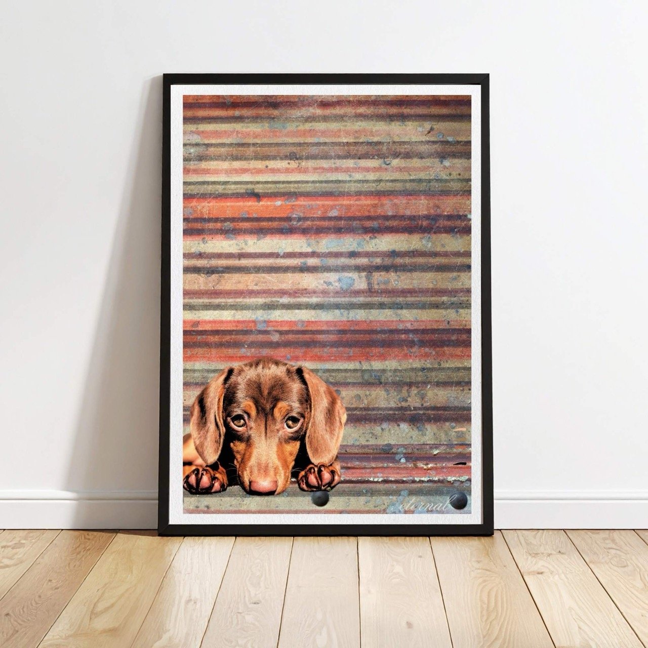 Dachshund Dog Wall Art Print - Sydney Artist, Eternal Art Prints