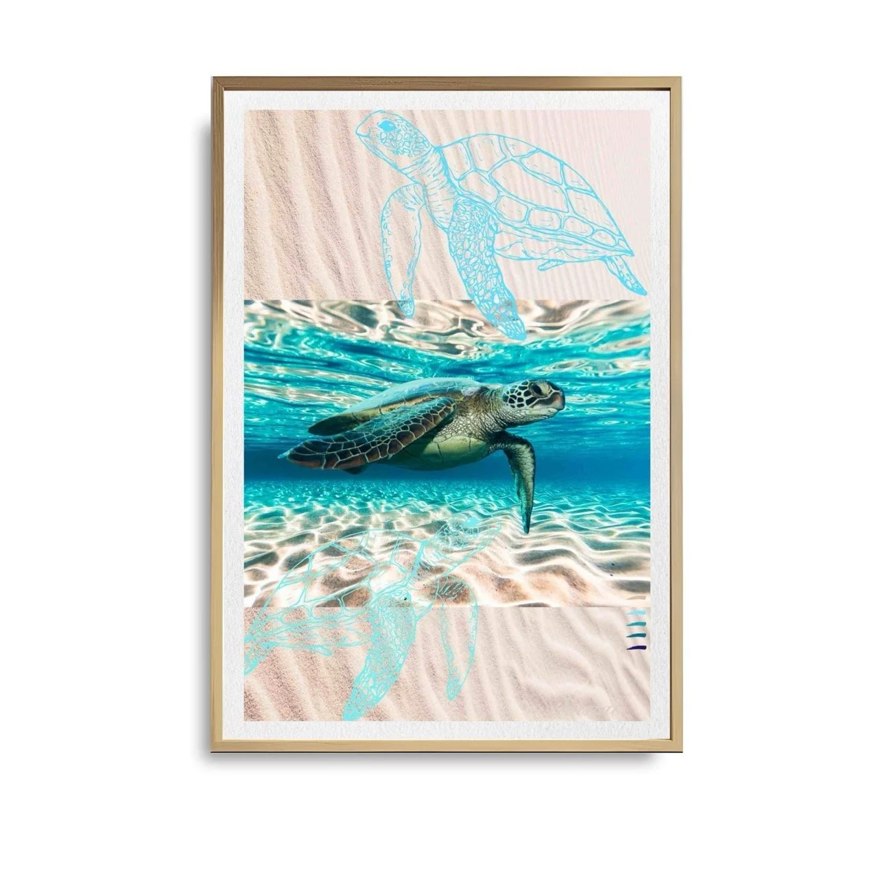 Water Turtles Modern Coastal Wall Art Print - Sydney Artist, Eternal Art Print - Eternal Art & Design