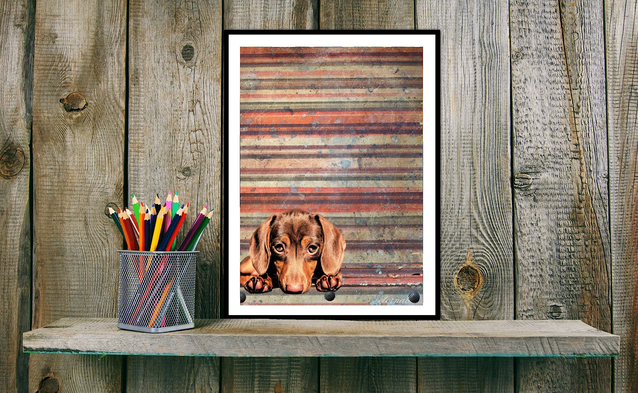 Dachshund Dog Wall Art Print - Sydney Artist, Eternal Art & Design - Eternal Art & Design