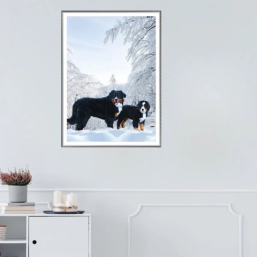 Bernese Mountain Dog Wall Art Print - Sydney Artist, Eternal Art & Design - Eternal Art & Design