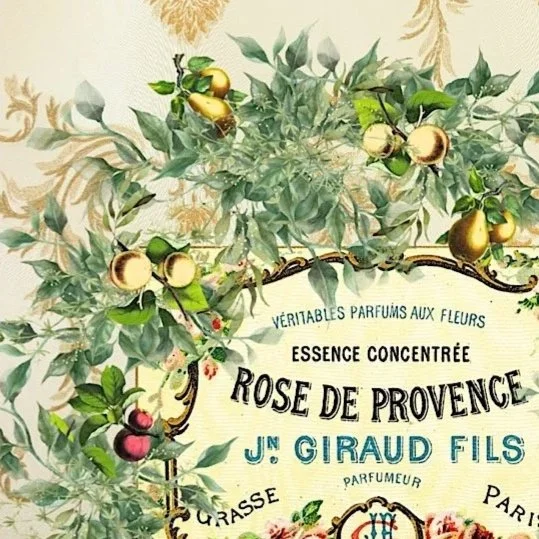 Vintage Provence Floral Yellow Botanical Print - Special Edition Wall Art Eternal Art & Design - Eternal Art & Design