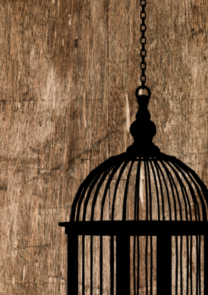 Birdcage Ink and Quill Wall Art Print, Eternal Art & Design - Eternal Art & Design