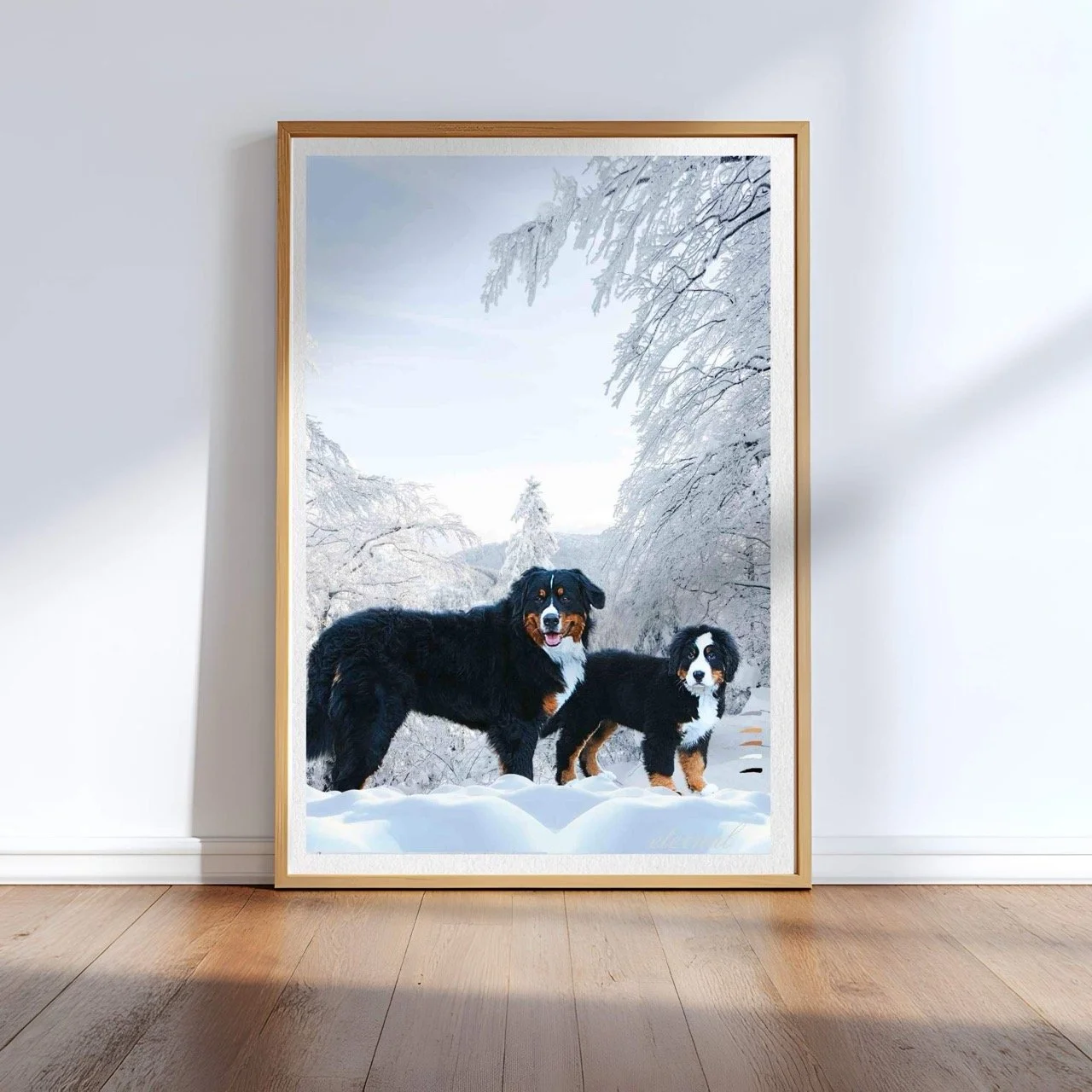 Bernese Mountain Dog Wall Art Print - Sydney Artist, Eternal Art Prints - Eternal Art & Design