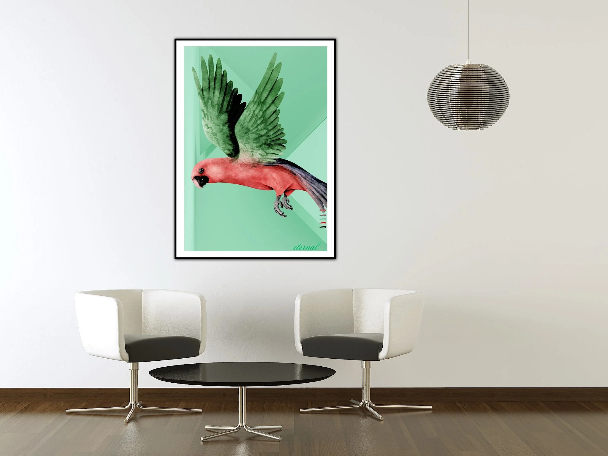 Parrot Bird Flight Wall Art Print - Sydney Artist, Eternal Art & Design - Eternal Art & Design