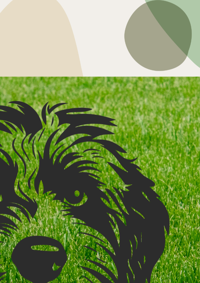 Labradoodle Dog Art Print - Sydney Artist, Eternal Art & Design - Eternal Art & Design