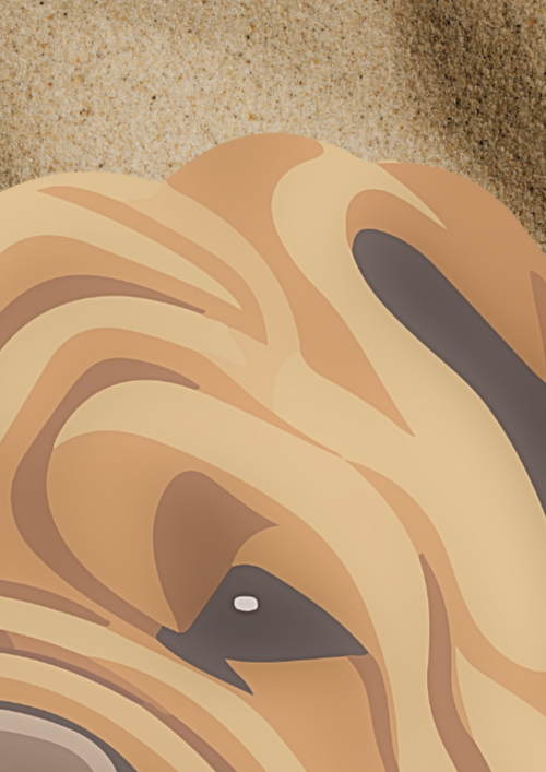 Shar Pei Wall Art Print - Sydney Artist, Eternal Art & Design - Eternal Art & Design