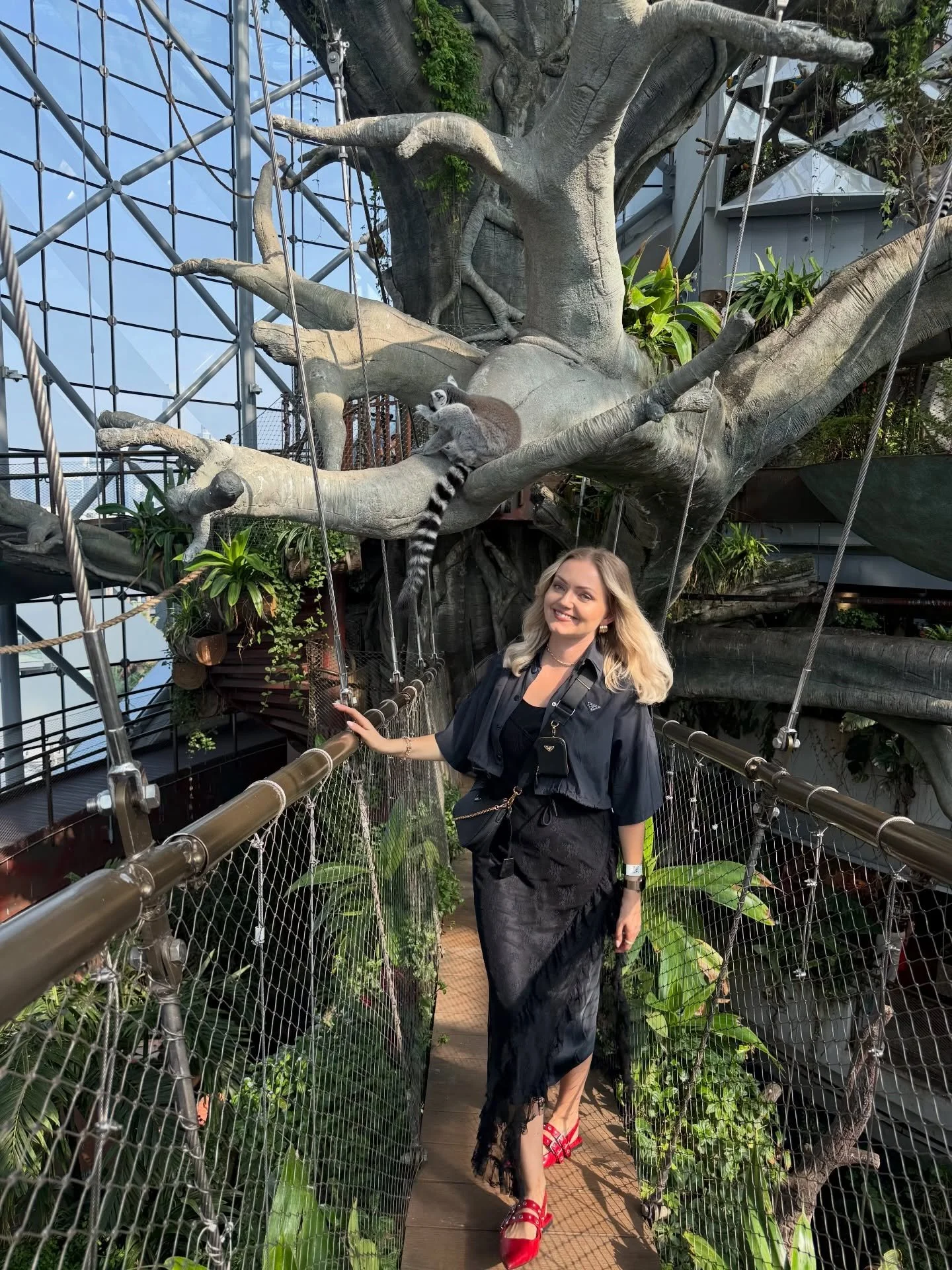 Dubai recap 📸 💫 #newyearindubai #vollmond #visionboardlife #gesetzderanziehung #sternzeichen