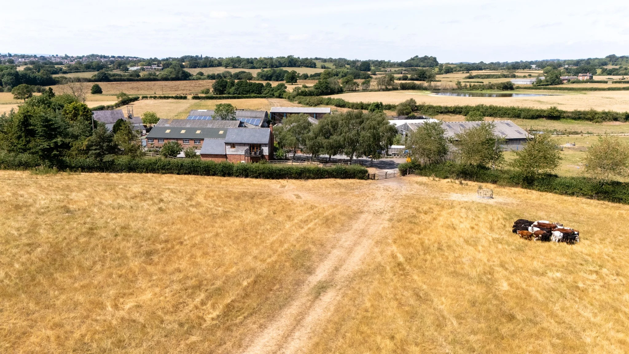 DJI_20260724133952_0454_D.jpg