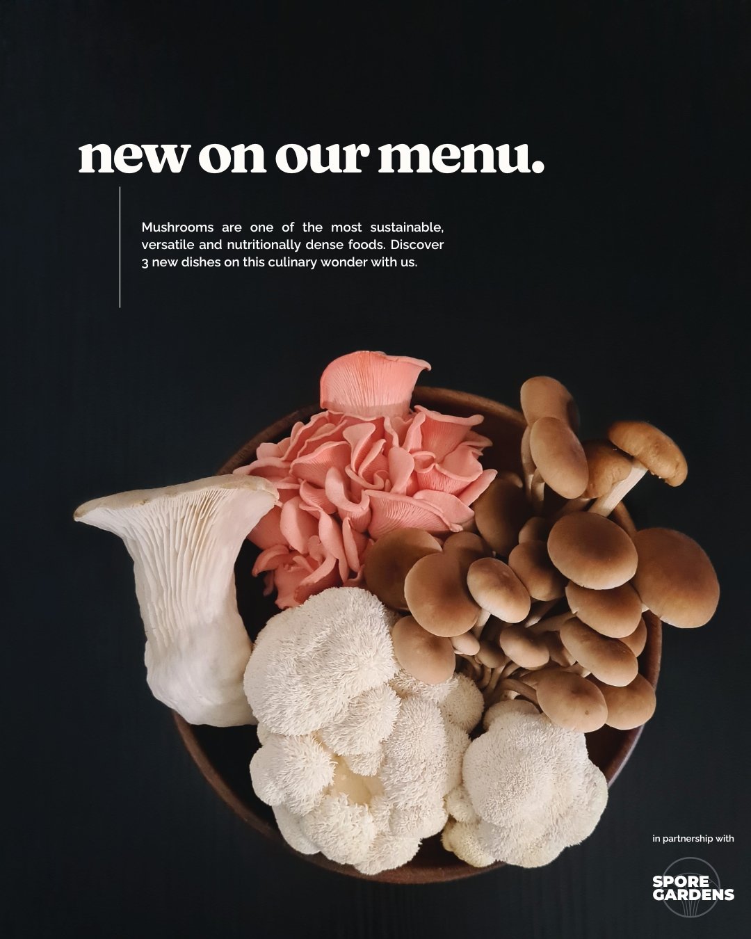NEW on the menu! We&rsquo;re thrilled to introduce 3 delicious dishes crafted with locally grown, organic mushrooms &ndash; all in partnership with Spore Gardens.

Say hello to:
Organic Lion&rsquo;s Mane Rendang
Tandoori Organic Royal Trumpet
Sichuan