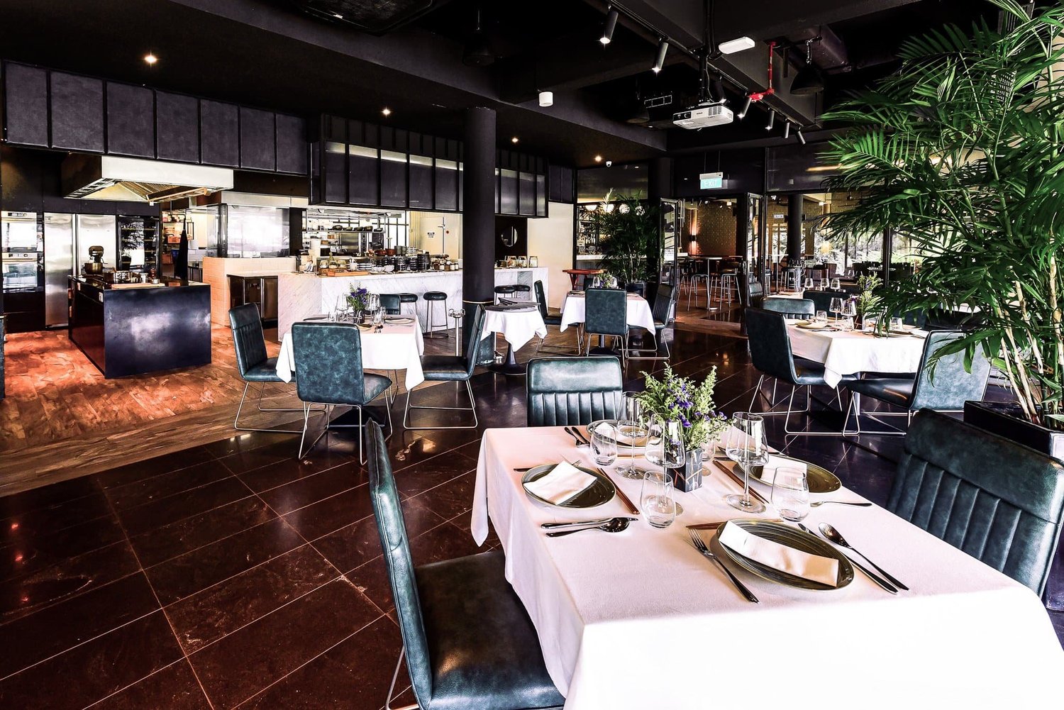 Savor Exquisite Cuisine in Tranquil Setting  Coriander Leaf