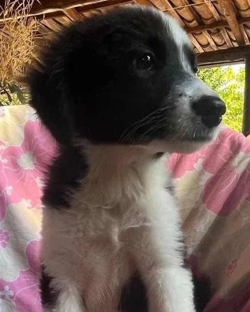 NAHLA (reserviert)