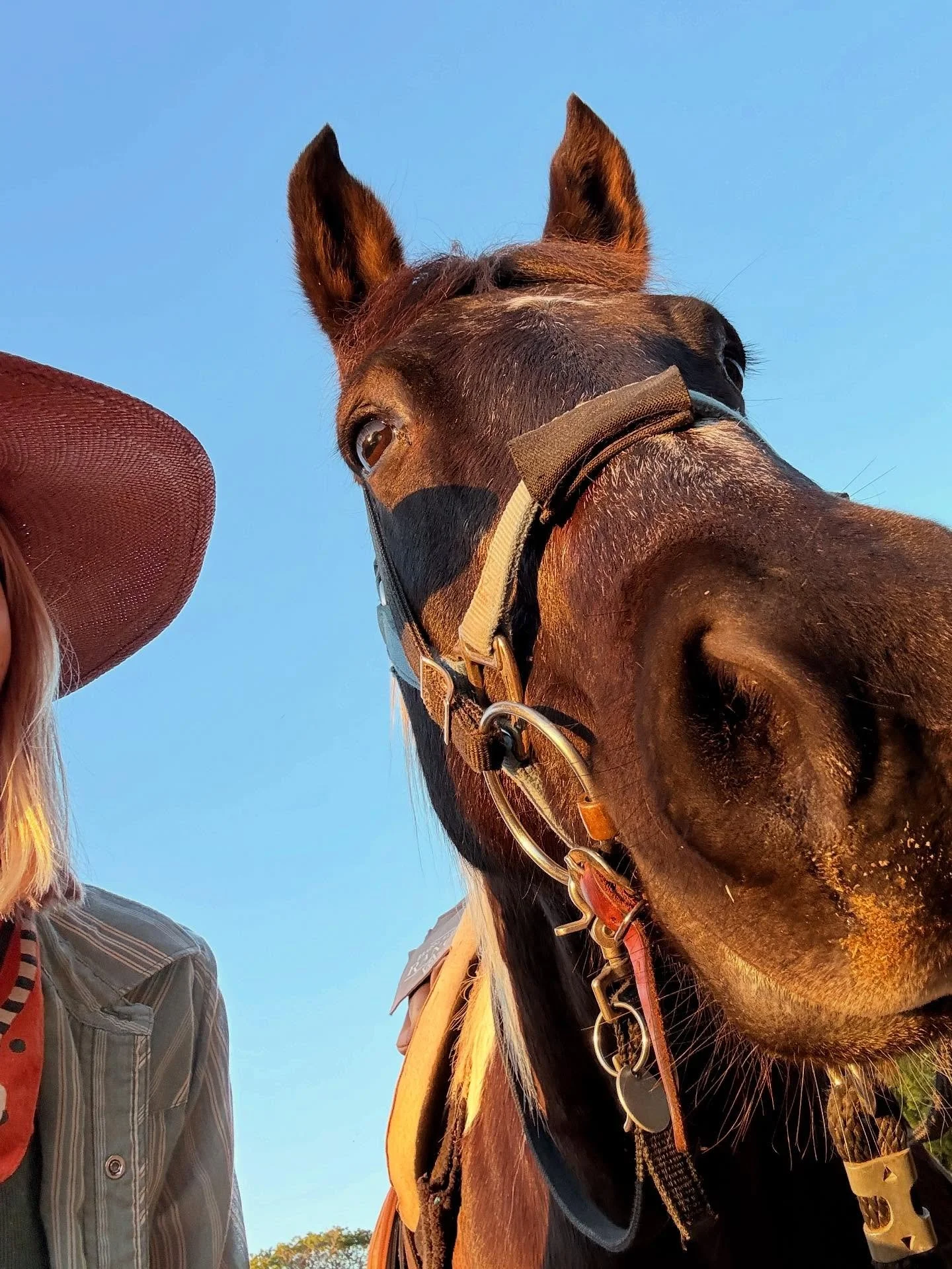 My heart is overflowing. I had the opportunity to ride two horses on gorgeous woodsy trails, offered sound bath to a women&rsquo;s retreat, and just wrapped an impromptu cabin collab with a Reiki Master. More exciting activities to come tomorrow 🐴🎶