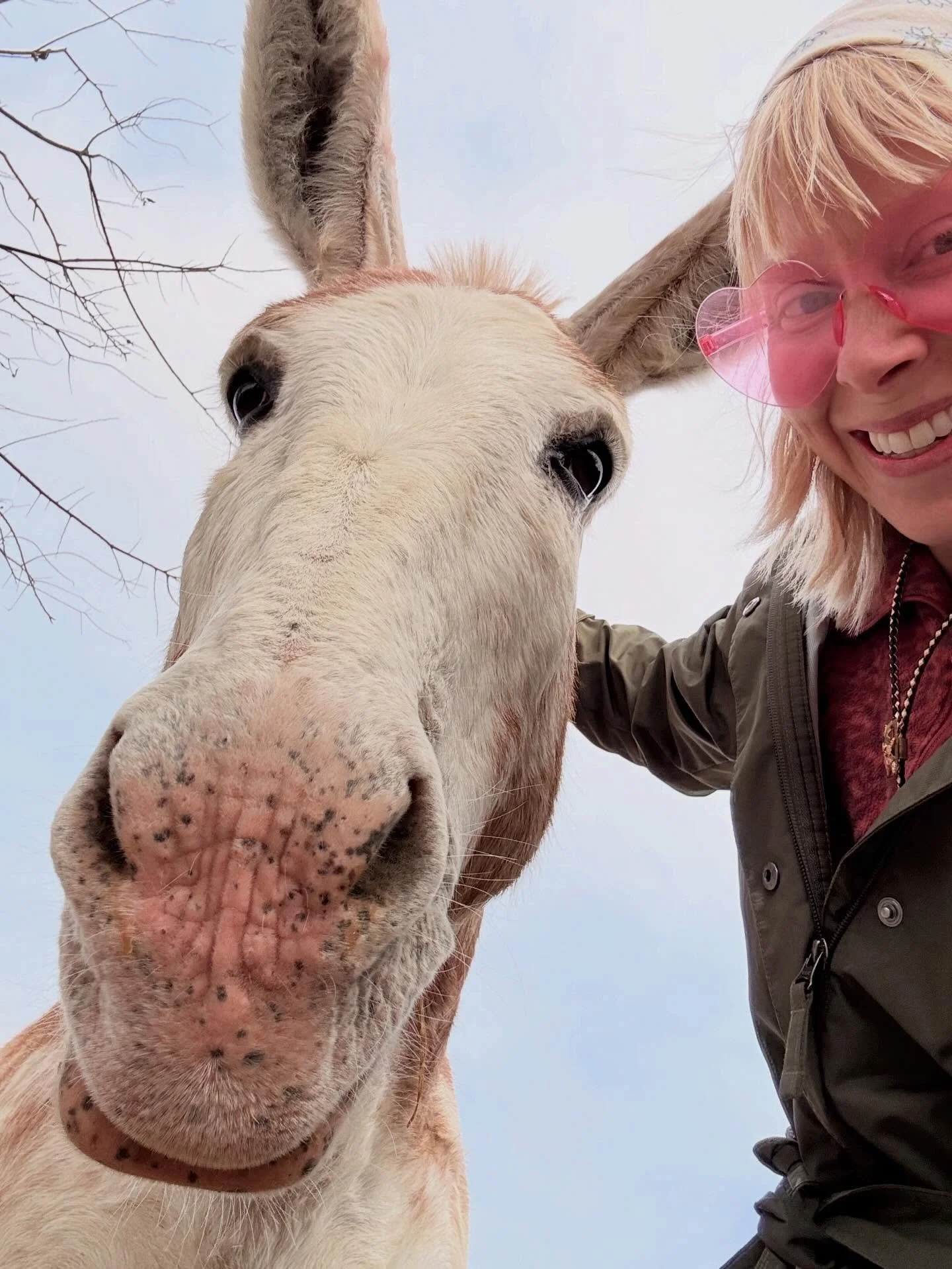 Some highlights from recent sound therapy sessions 🙃🤠