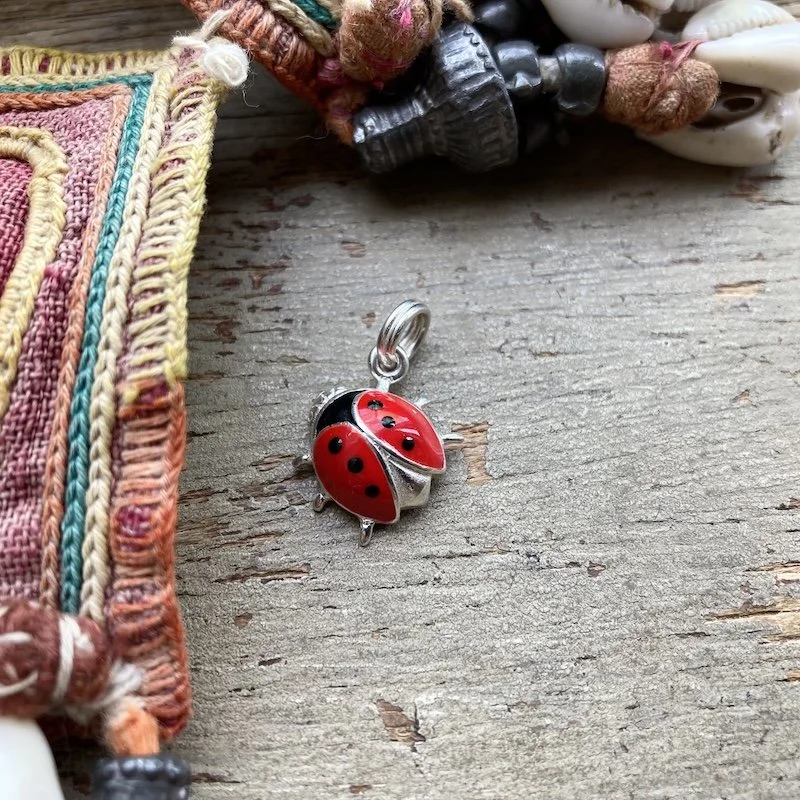 cute sterling silver and enamel ladybird pendant 1.jpeg