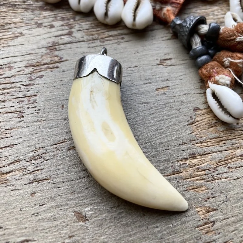 vintage sterling silver boar tusk pendant 1.jpeg