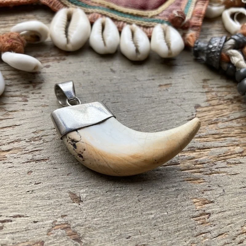 vintage sterling silver shell claw pendant 2.jpeg