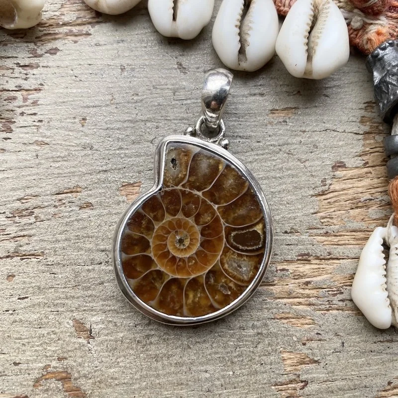 vintage sterling silver ammonite pendant 1.jpeg