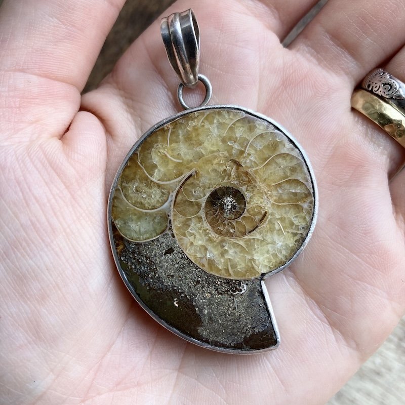 Beautiful Large Sterling Silver Ammonite Pendant