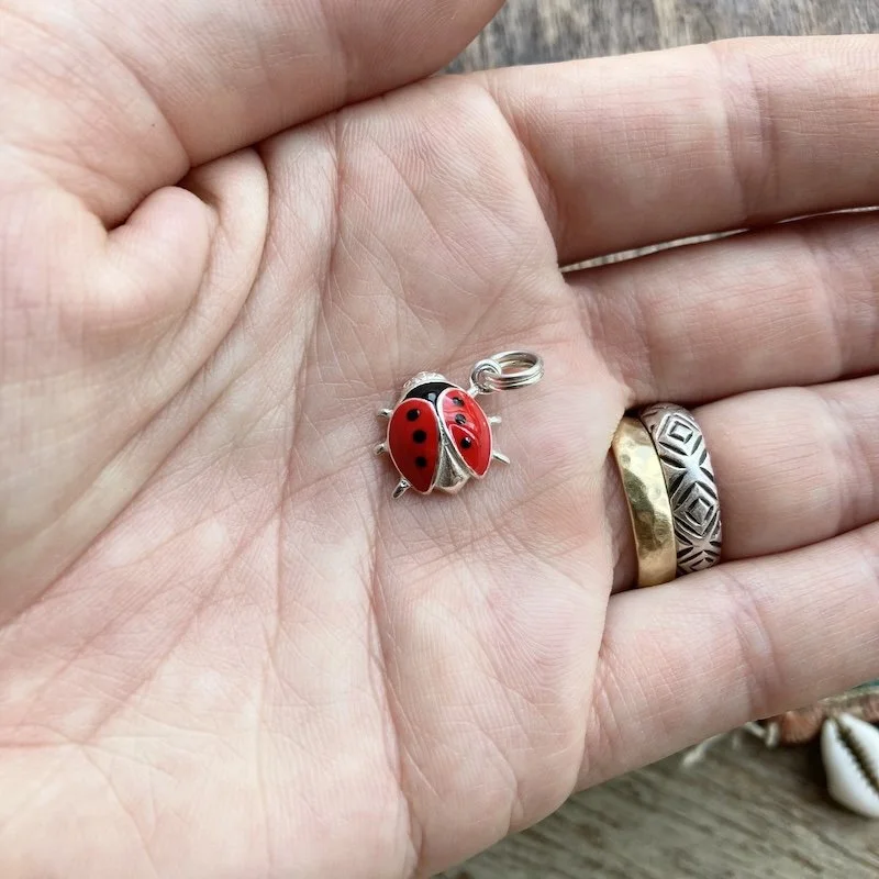 cute sterling silver and enamel ladybird pendant 3.jpeg