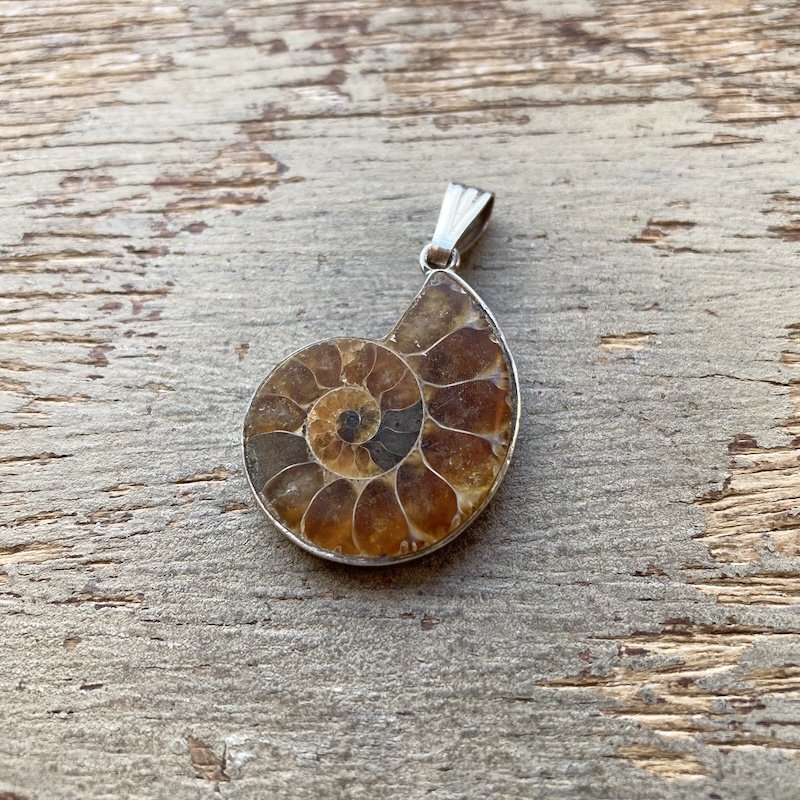 Beautiful Vintage Sterling Silver Ammonite Pendant