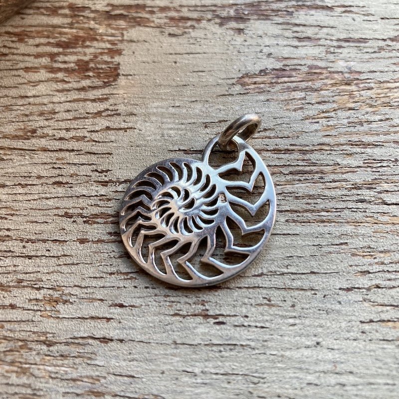 Lovely Vintage Sterling Silver Fossil Pendant