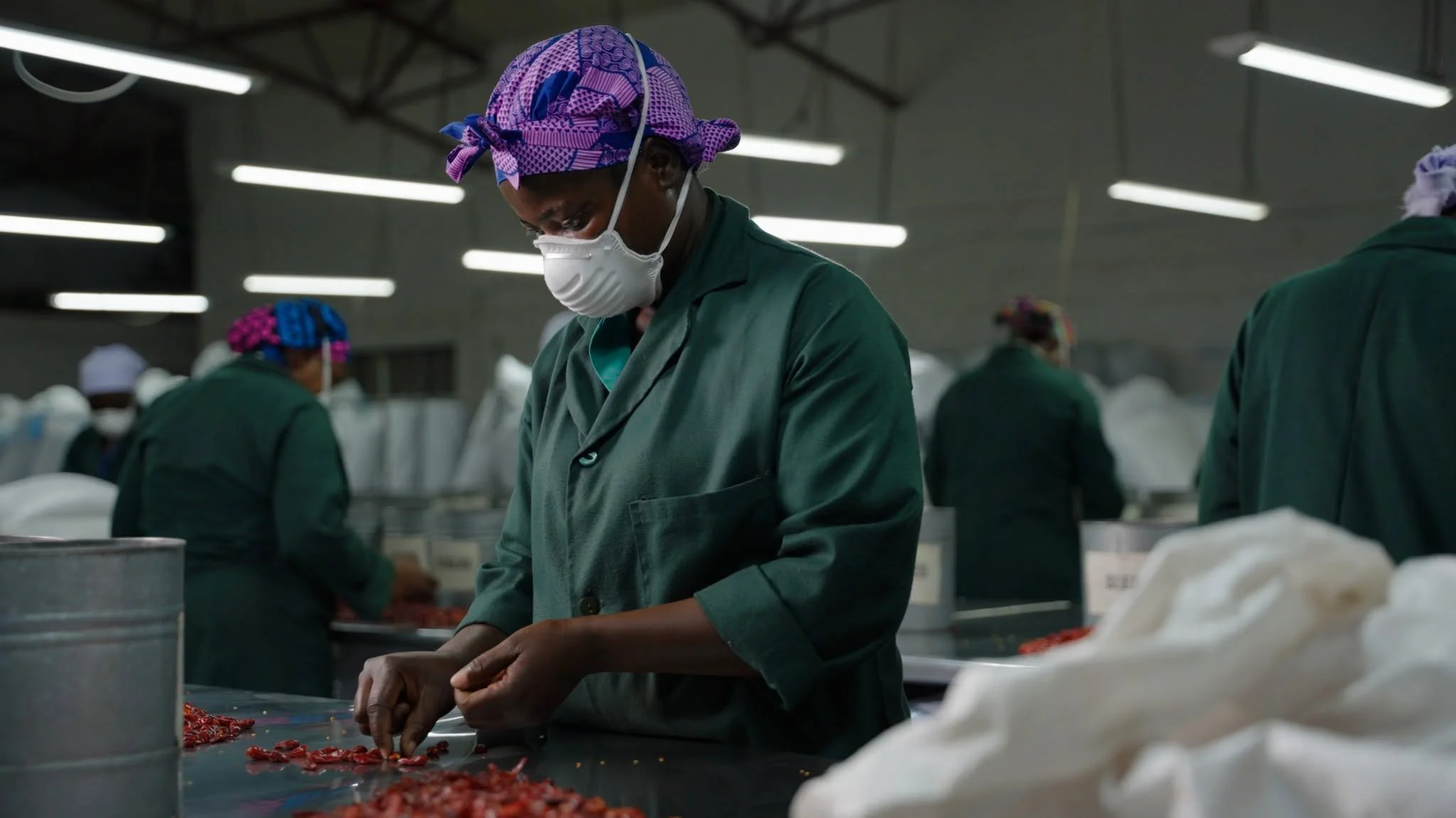 🌱 What does sustainable farming really look like?

It&rsquo;s a phrase you hear everywhere. But in rural Zimbabwe, it&rsquo;s not a buzzword &mdash; it&rsquo;s daily reality.

This season, our farmers are:
✔ Using training to improve soil health and