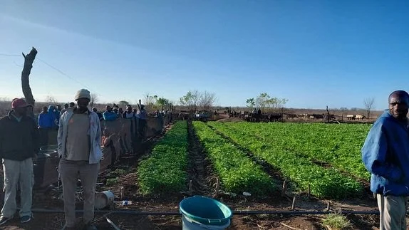 The kind of queue farmers don&rsquo;t mind joining 🌱
Farmers line up to collect seedlings! A moment that marks the beginning of another season of growth. By participating in every step, from nursery to transplanting, farmers gain hands-on knowledge 