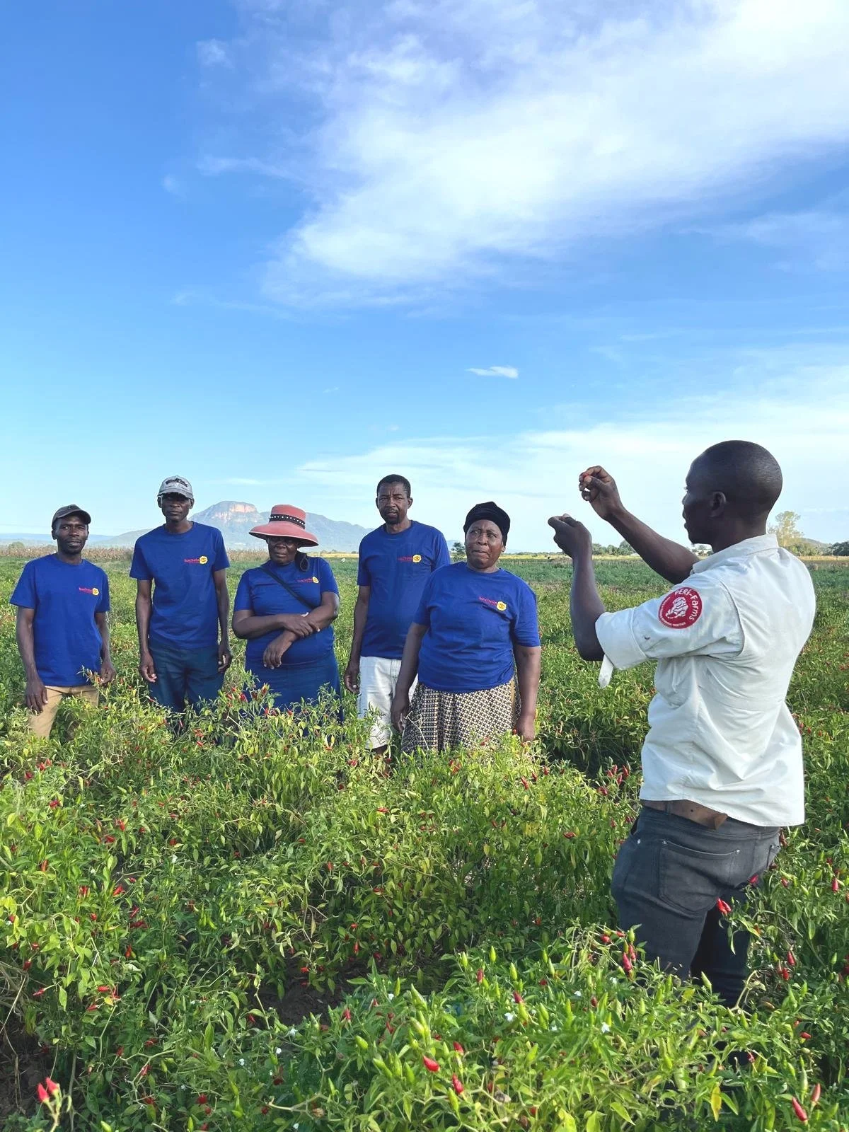 WhatsApp Image 2025-04-15 at 08.15.32.jpg