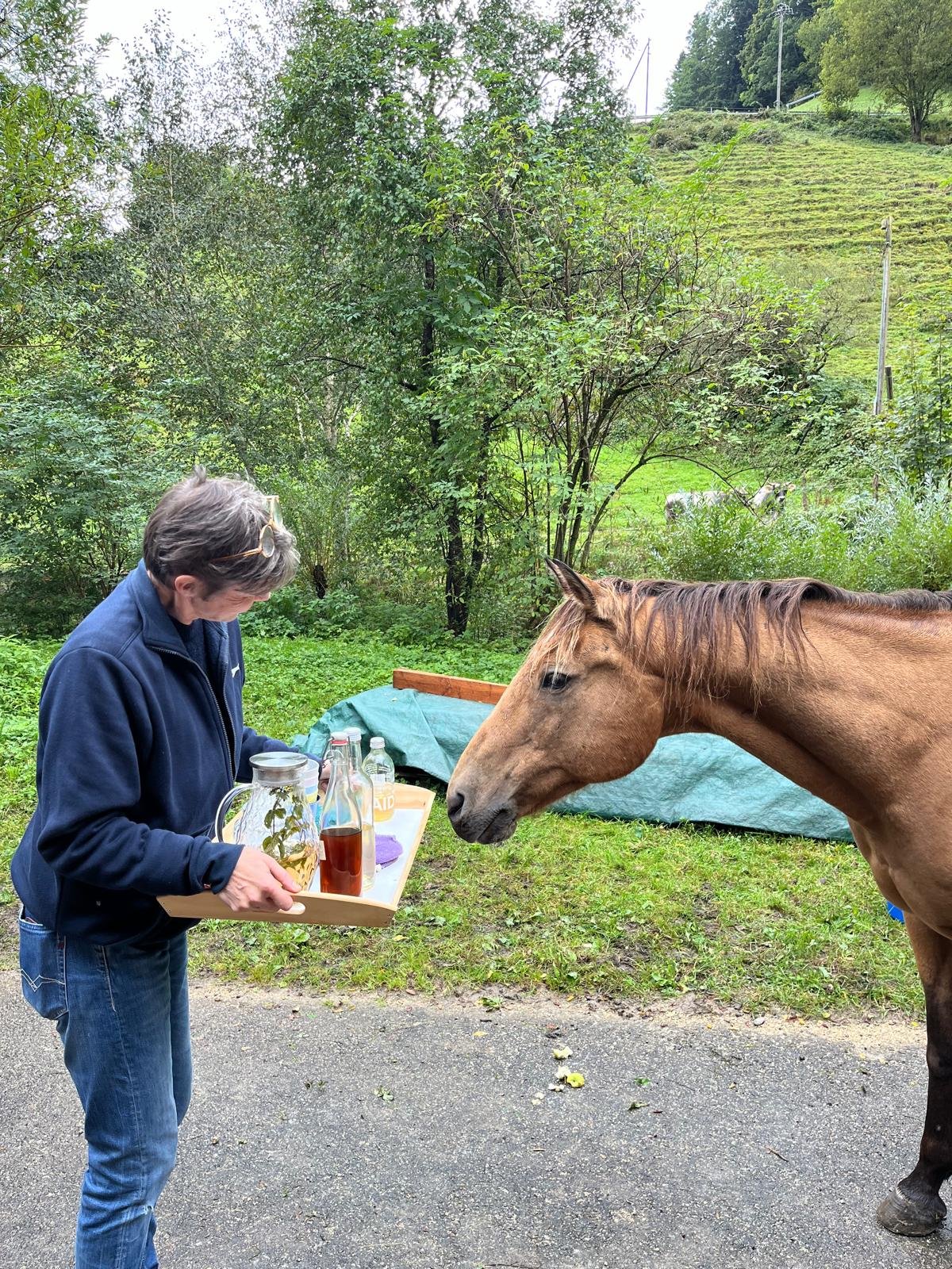 Eine Person hält ein Tablett mit Gläsern und Flaschen, während ein braunes Pferd neugierig darauf schaut. Im Hintergrund ist eine grüne Landschaft mit Bäumen und Hügeln zu sehen.