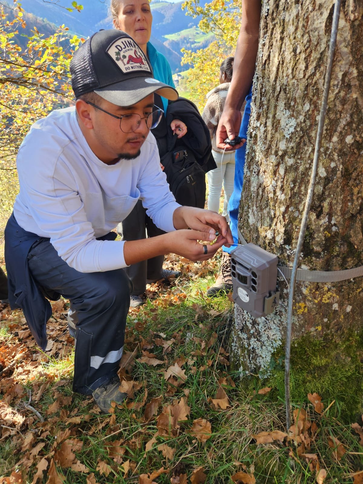 Menschen montieren eine Wildkamera an einen Baum im Wald. Eine Person trägt eine Kappe und Brille, andere beobachten oder helfen. Herbstlich gefärbte Blätter bedecken den Boden, und die Landschaft im Hintergrund zeigt Hügel und weiteres Waldgebiet.