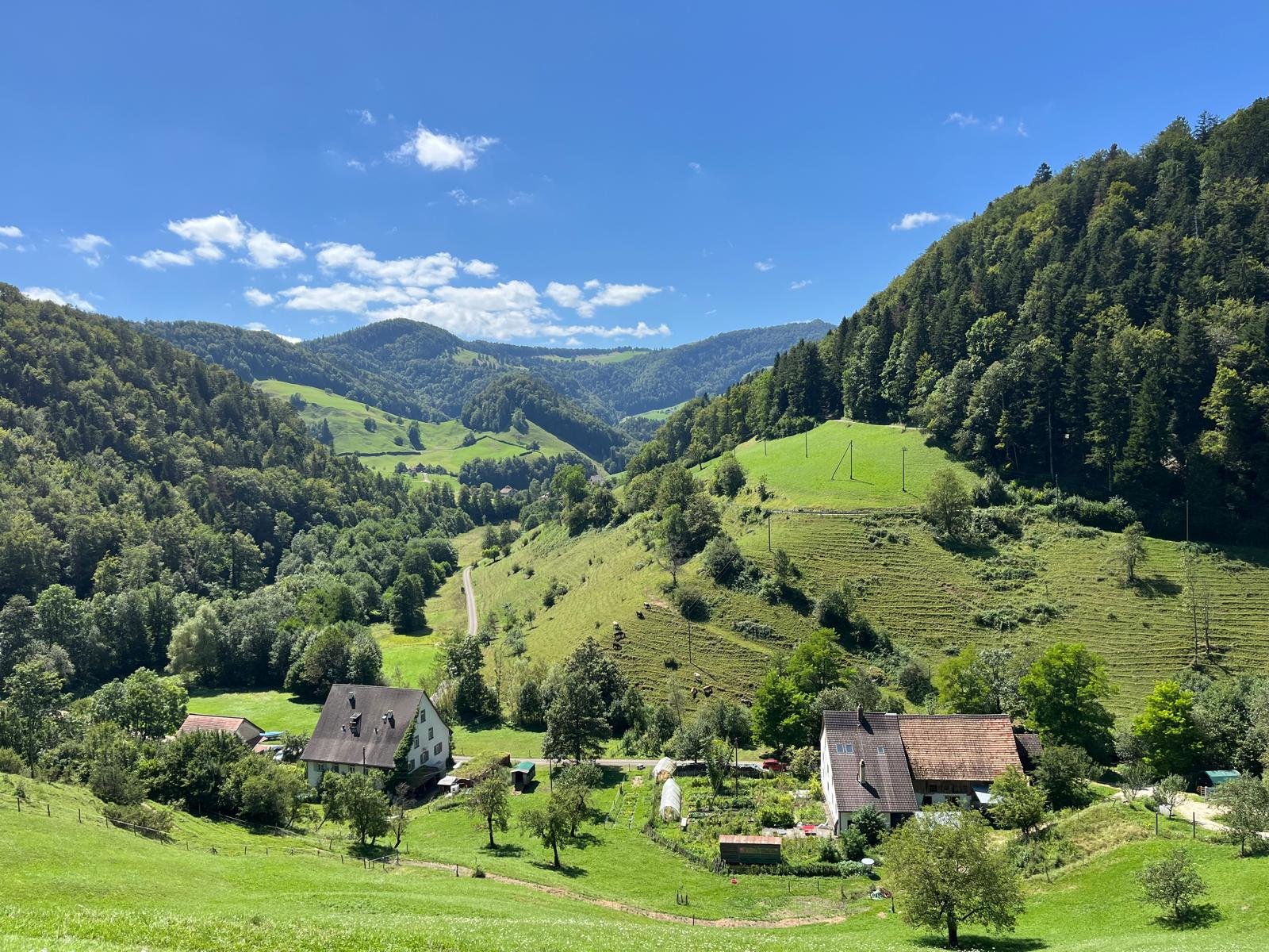 Ein ländliches Tal mit grünen Wiesen, Wäldern und Hügeln. Es gibt einige Häuser und landwirtschaftliche Gebäude, umgeben von üppiger Vegetation. Der Himmel ist blau mit einigen weißen Wolken.