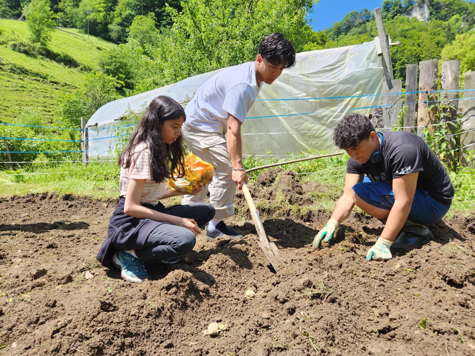 Drei Personen arbeiten gemeinsam in einem Garten oder Gemüsebeet an einem sonnigen Tag. Eine Person pflanzt, eine nutzt eine Hacke, und eine andere hält eine Tasche, möglicherweise mit Samen. Der Hintergrund zeigt grüne Hügel und Bäume.