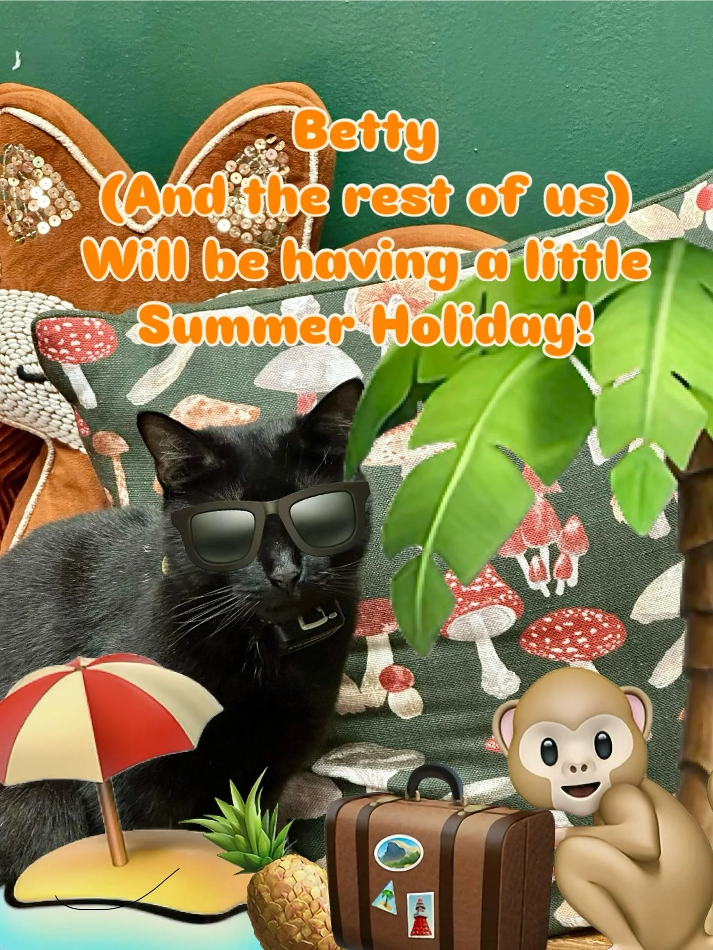 We will be closed from the 28th July - 3rd August! It’s got something to do with the fact they’re closing the entire train line in that week - but we’re going to use the time to get a few things done around the place while Betty goe