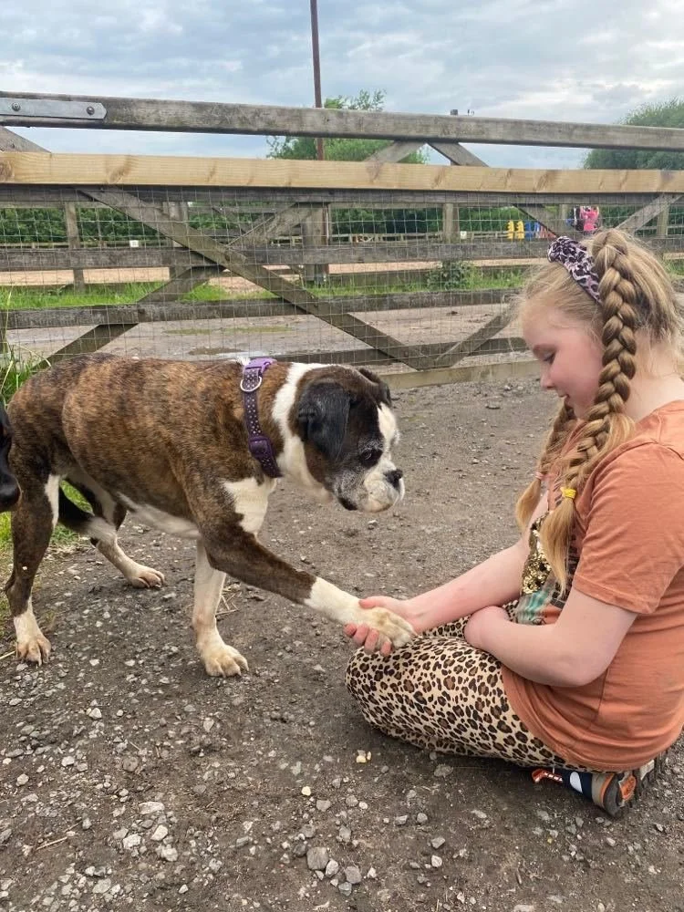 Students bonding with dogs