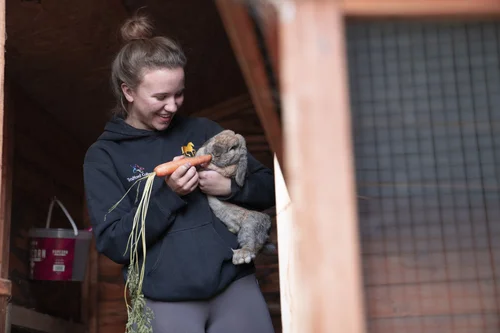 Animal-assisted learning with dogs at Changing Lives