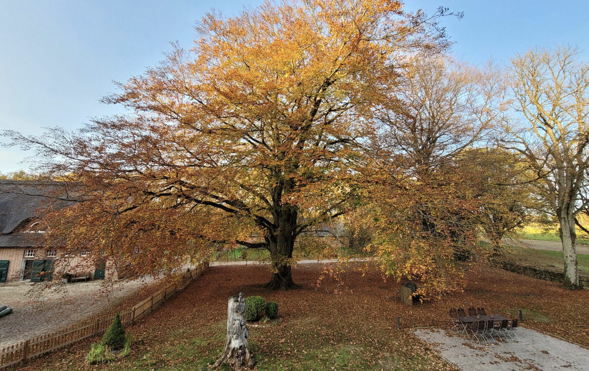 Gut Thansen, Lünebuger Heath, Germany