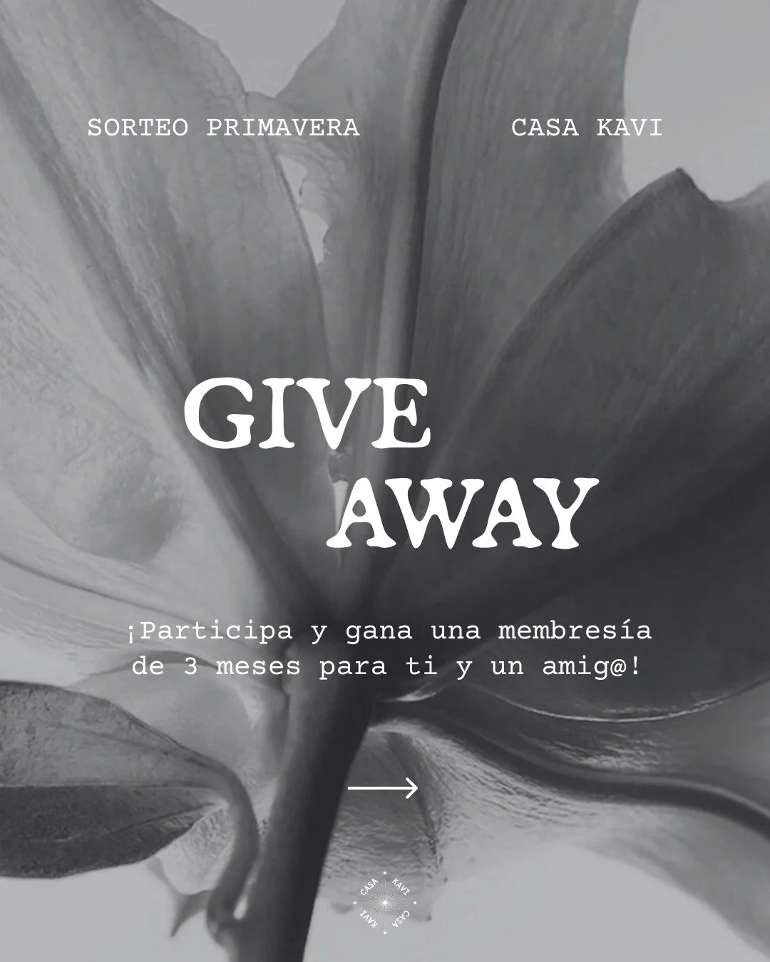 🌼 SORTEO ESPECIAL PRIMAVERA

Para participar:
1️⃣ Comenta qu&eacute; significa para ti florecer esta primavera

2️⃣ Etiqueta a la persona con la que lo vivir&iacute;as

📅 Anunciamos el 22 de marzo

⏳ Disponible hasta el Equinoccio
Regalamos 3 meses