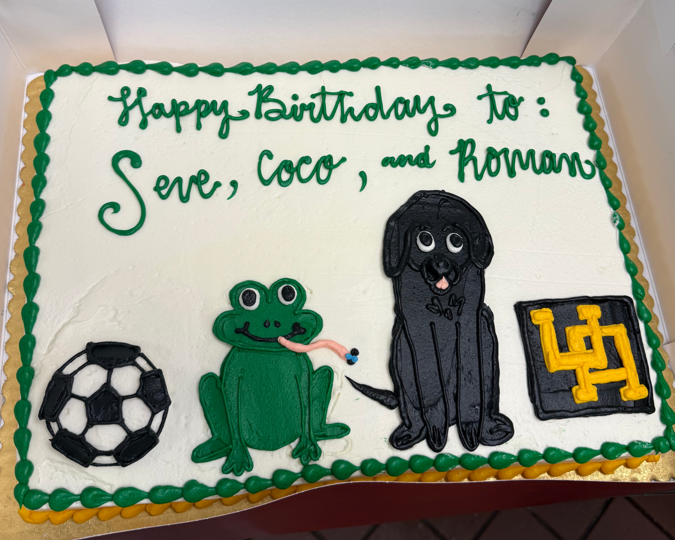 Birthday with pets