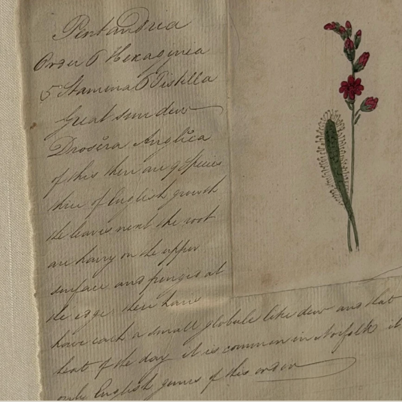 Screenshot 2026-04-18 at 10.20.59 PM.png