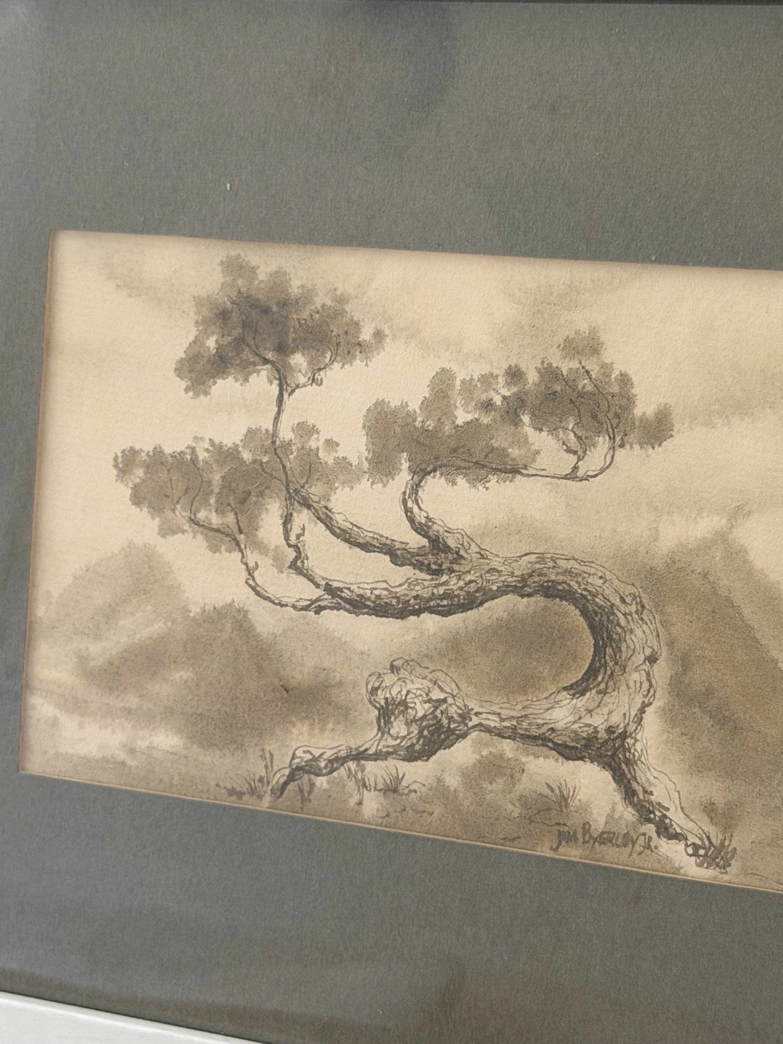IMG_4705.jpeg
