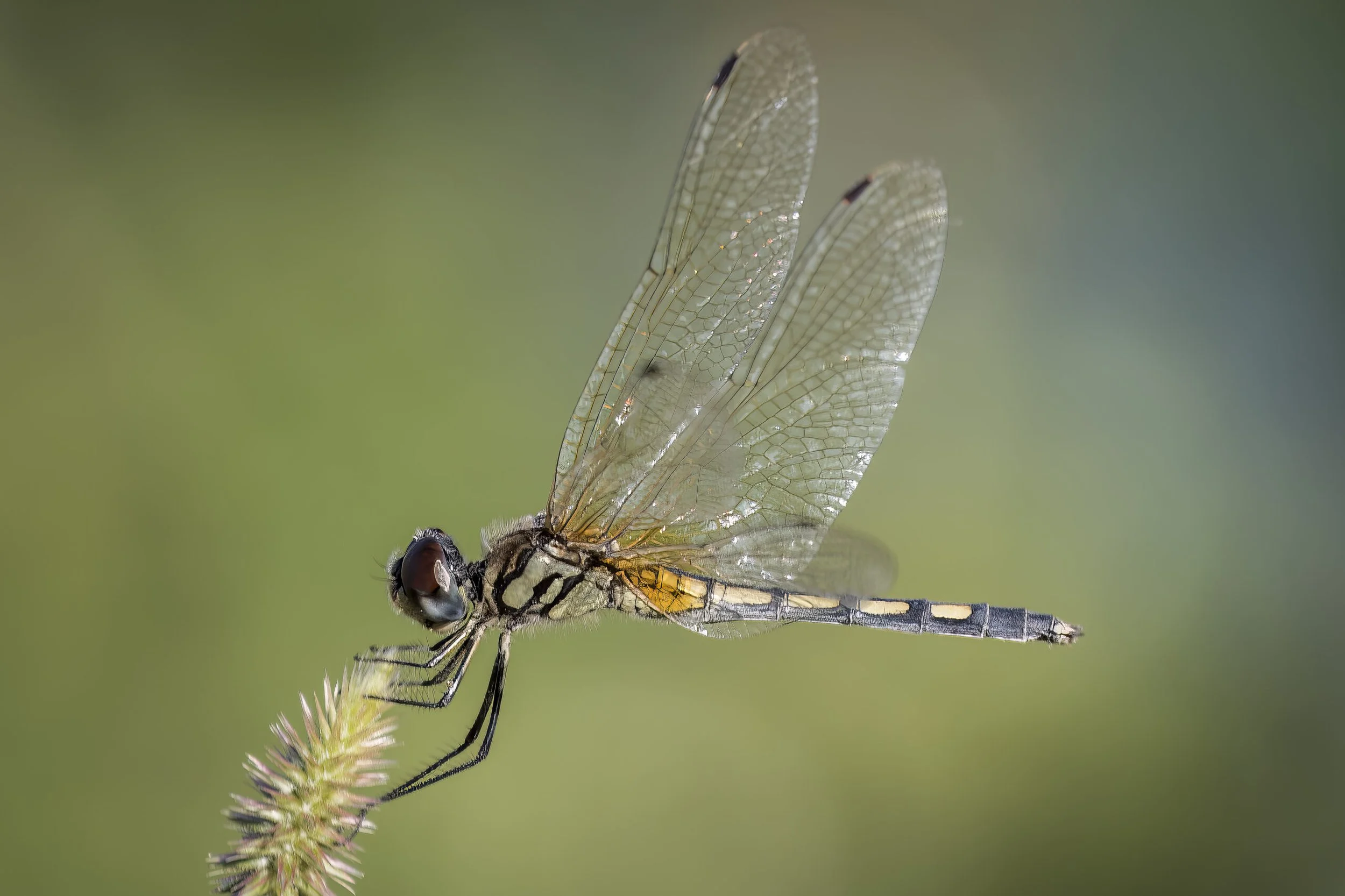 Tonen-John-015-scaled.jpg