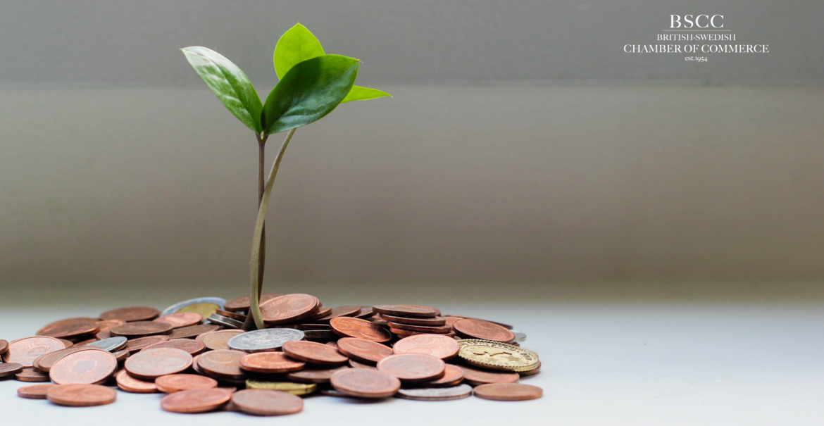 Sustainability Due Diligence with Cederquist