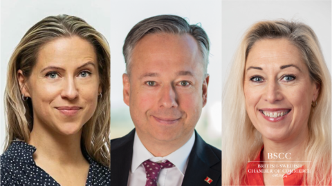 Business Challenges and Sustainable Opportunities