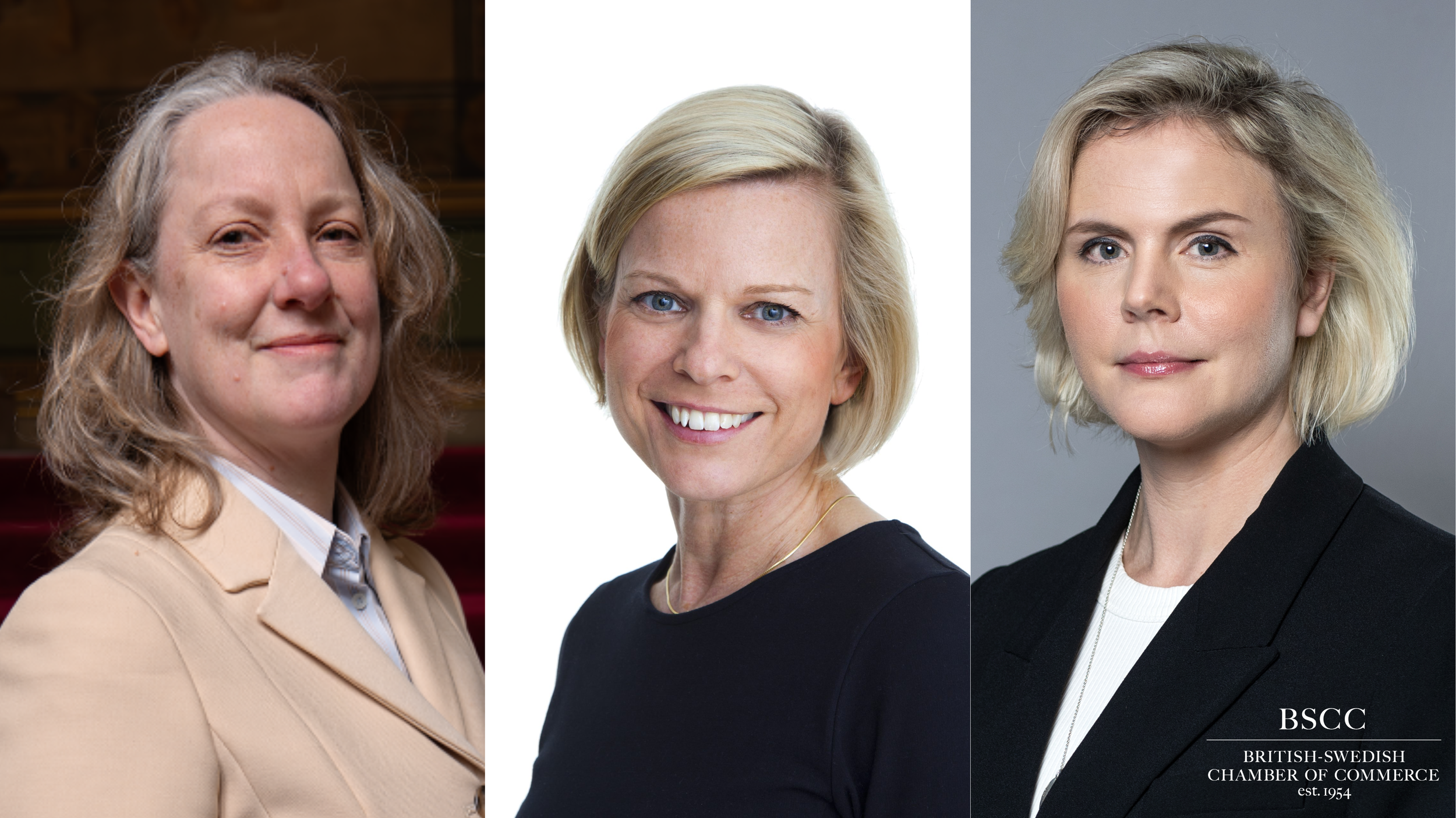 Strategic Partnership Roundtable Series| Life Science | Growth