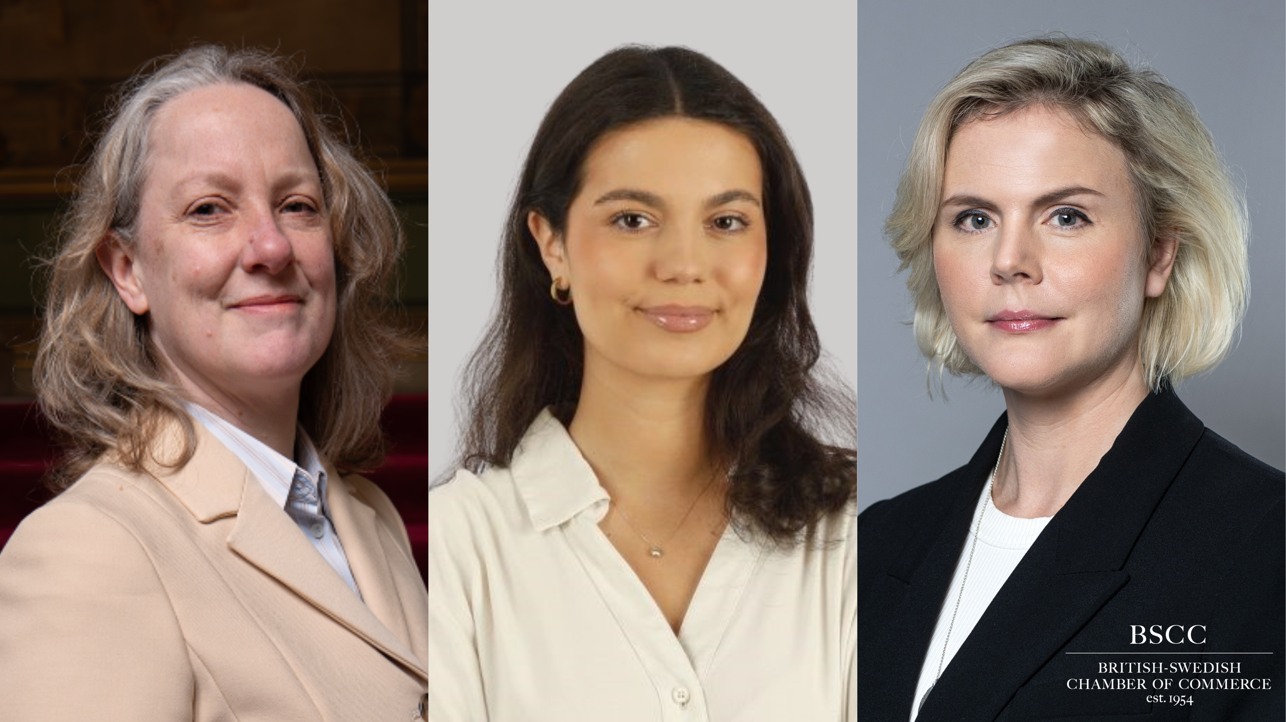 Strategic Partnership Roundtable Series| Life Science | Growth