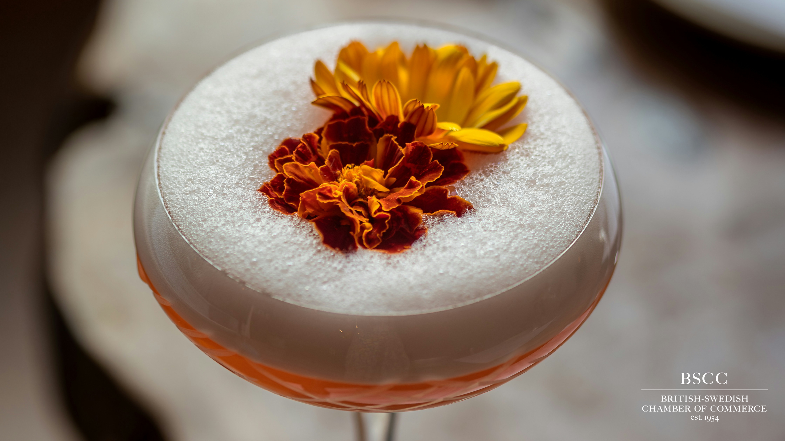 Late Summer Drinks and Annual Address 2026