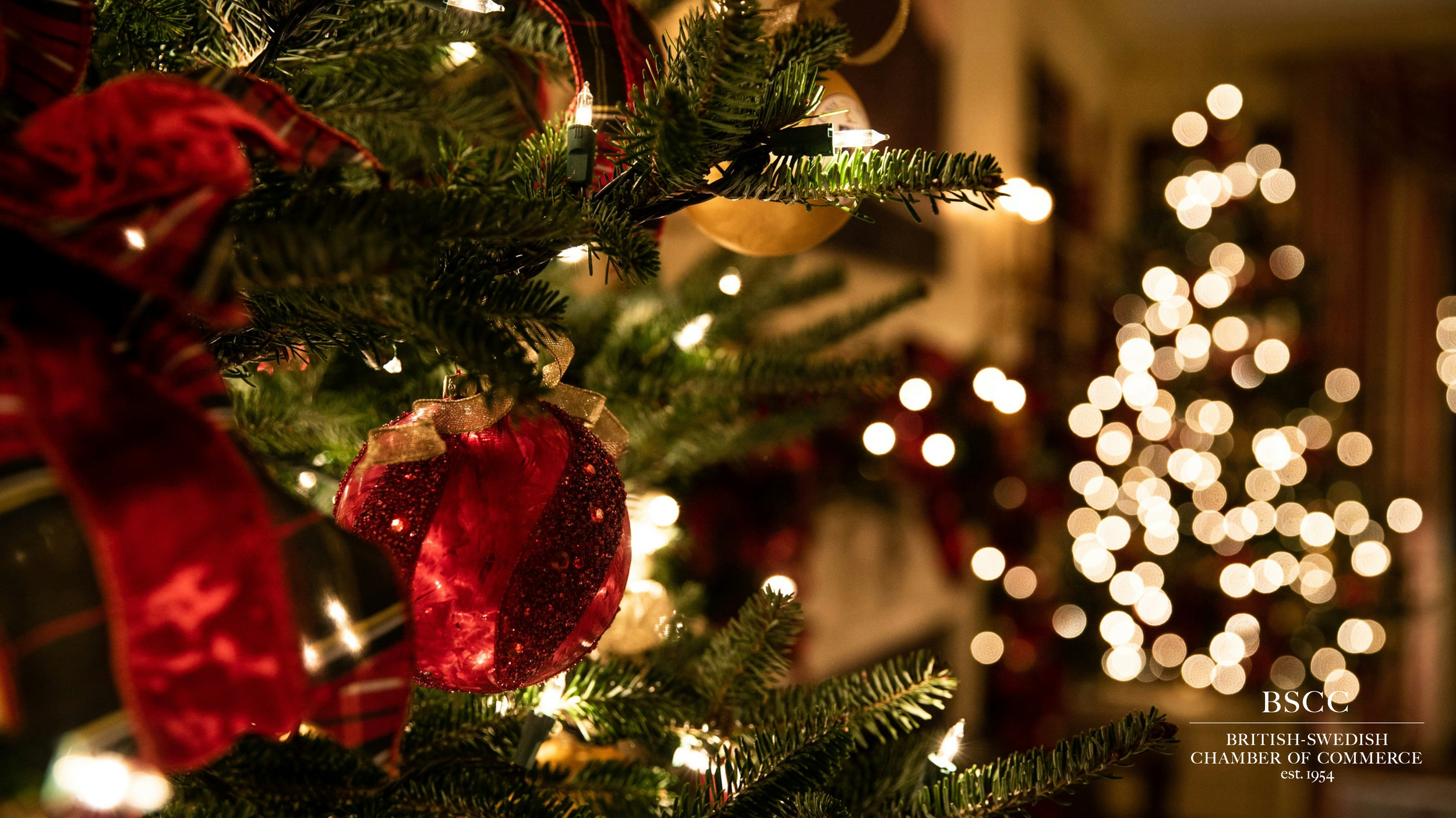Annual Christmas Drinks Reception