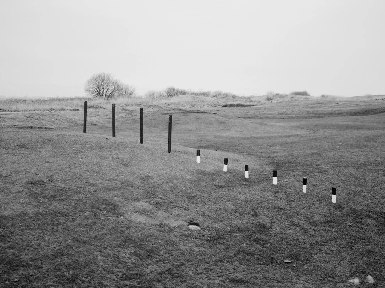 2025-01-20-deal-golf-b&w-dlm-4 Large.jpeg
