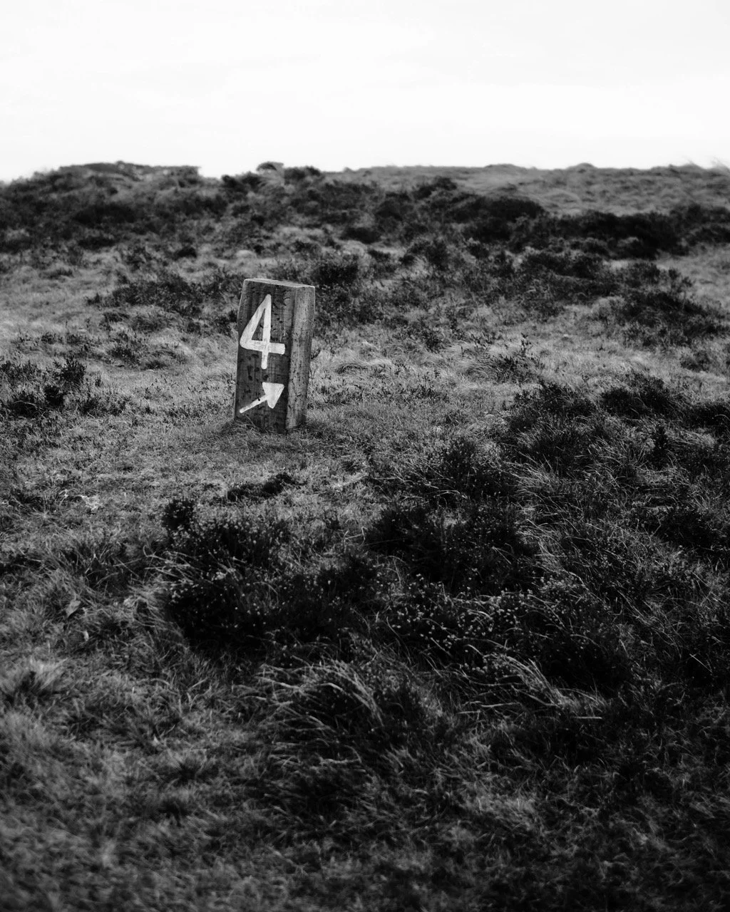 2024-01-24-pennard-golf-dlm-8 Large.jpeg